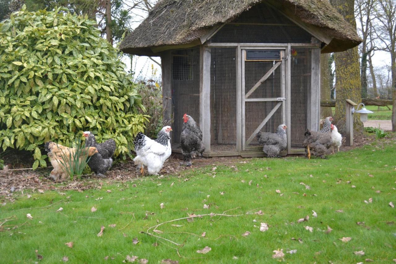 Wildwestruurlo Villa Dış mekan fotoğraf